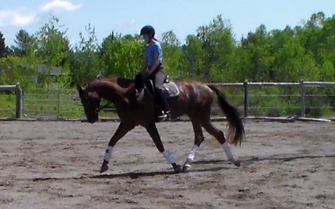 June 13 trot3.jpg