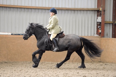 _6104518{Dressage Prelin 7 (1).jpg