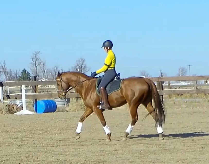 Canter left 112920 Lesson_Moment_Moment.jpg