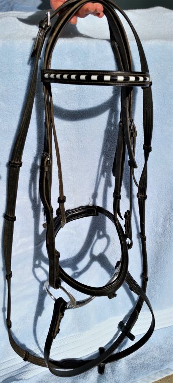 DDBB resized bridle.jpg