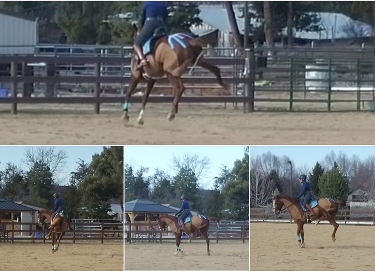 Screenshot 2026-02-15 194138.JPG