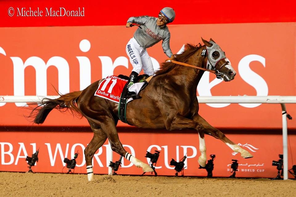 chrome outruns his saddle.jpg