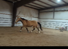 Screenshot_20260409-102750_copy_220x159.png